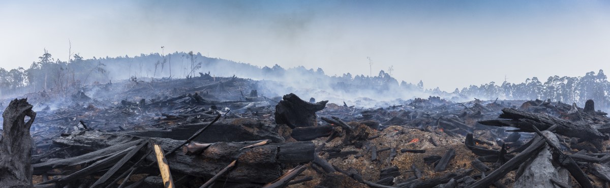 Feb 20 News Support Staff through Australias bushfires